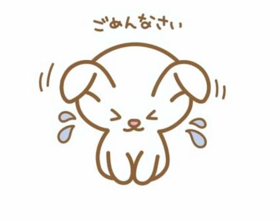 ごめんなさい🙇♀️