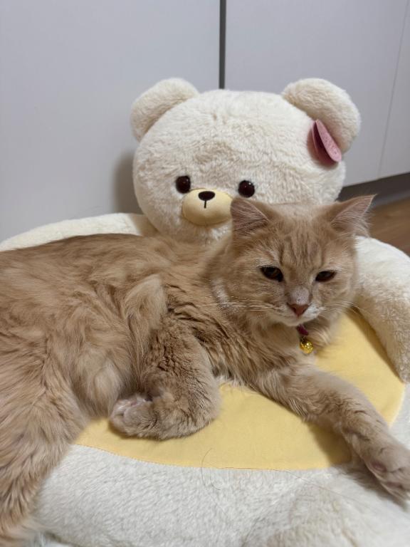 今日もありがとう🫶