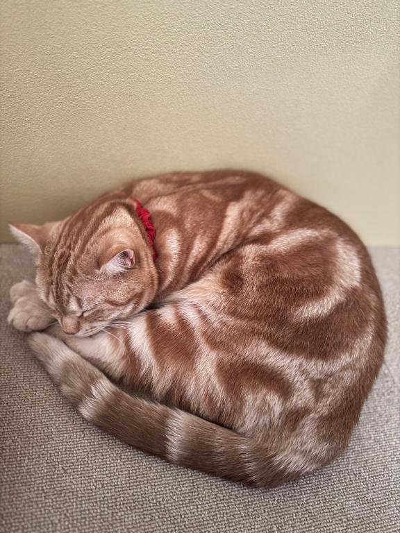 お部屋到着❗️