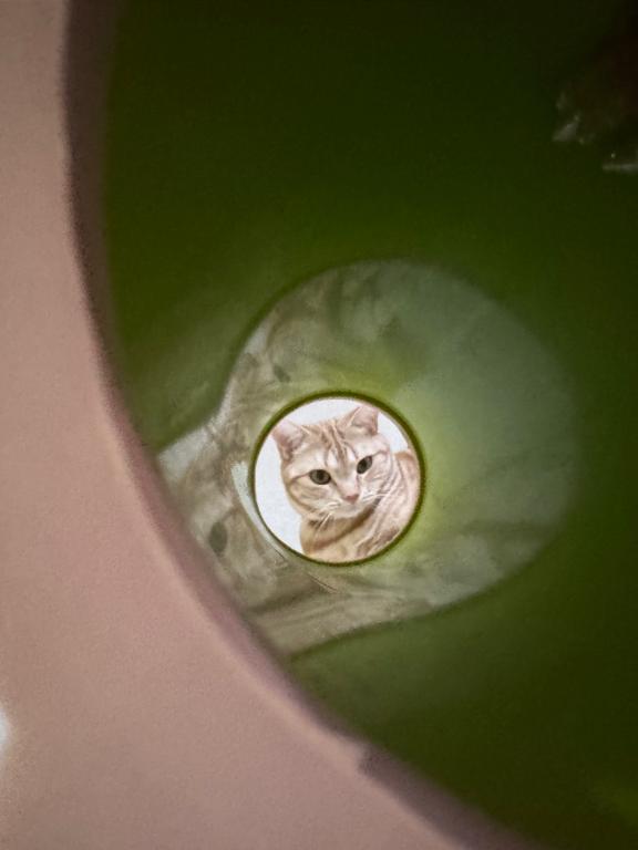 おやすみ(-_-)zzz