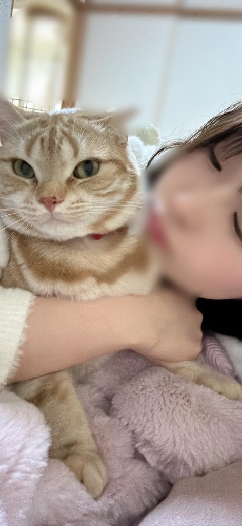 おやすみなさい🥰🥰