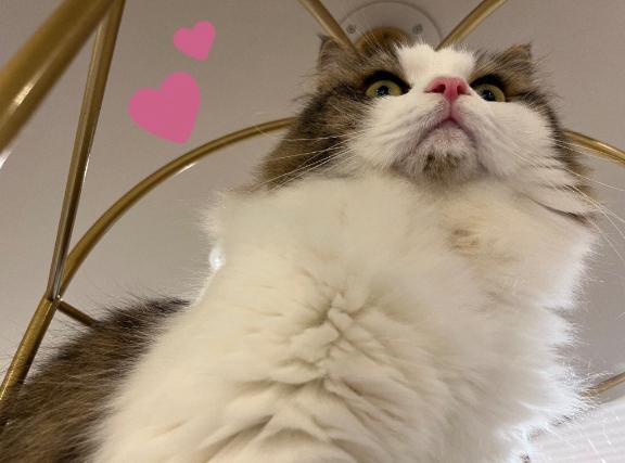 よろしくね🤍