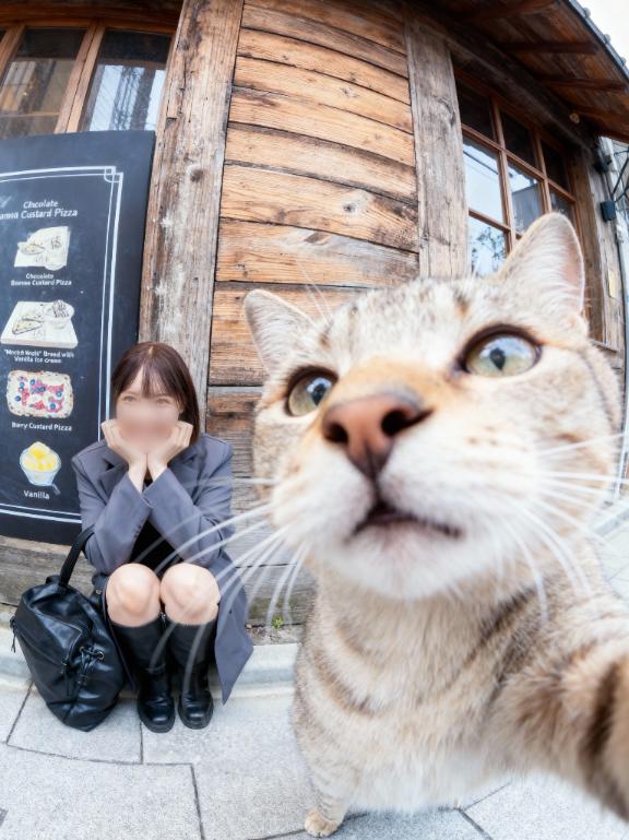 にゃんにゃんにゃん🩵