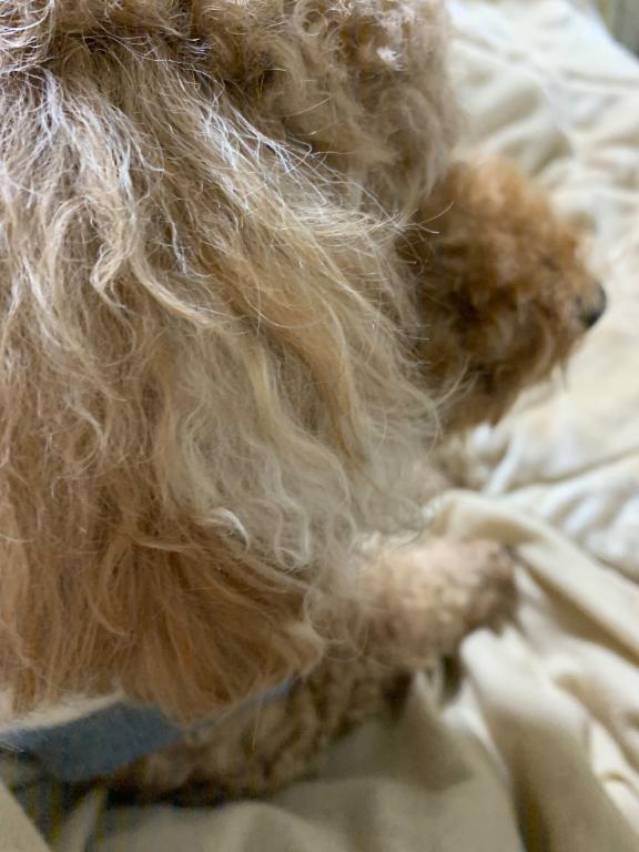 ごめんなさい💦