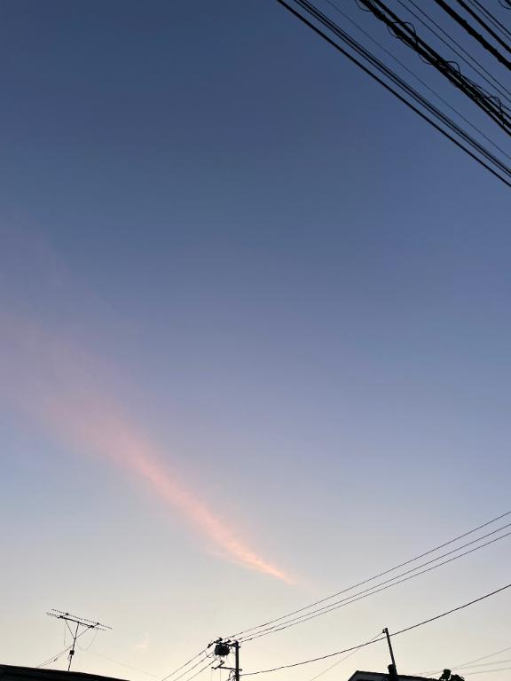 5月ありがとう