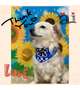 あいです☆６月１４日(土)のありがとう☆