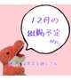 🦖12月の出勤予定🦖