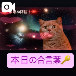 本日のお得な合言葉🗝