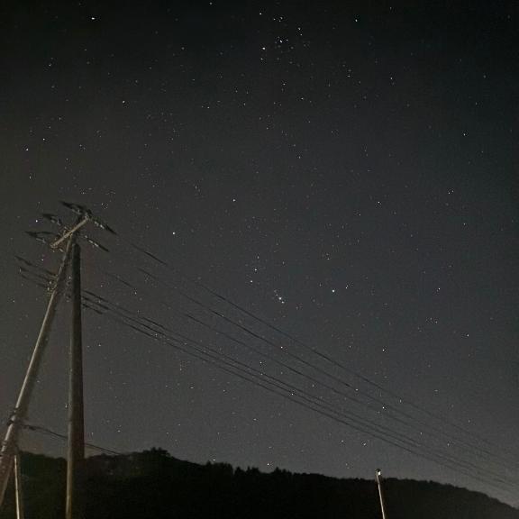 復活いたしました