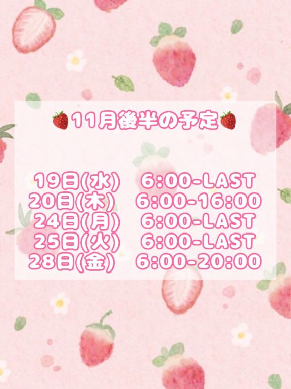 🎀11月後半の予定です🎀
