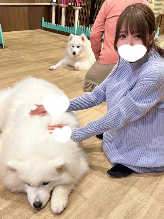 🩵 1月の会える日꜀^. ̫.^꜆