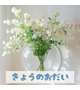 ⭐︎ミカド⭐︎今日のお題！