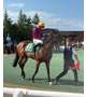 競馬