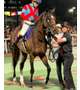 昨日の競馬