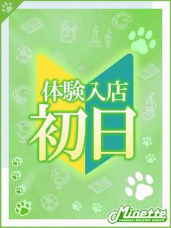 Minette～ミネット～高崎店 デリヘル MEIA