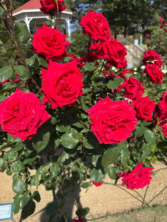 生理休暇復帰日💐
