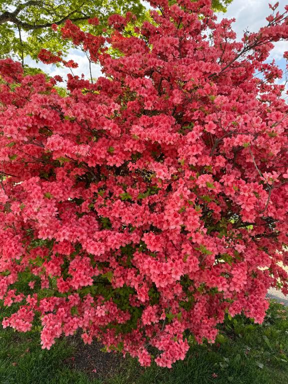 出勤日💐