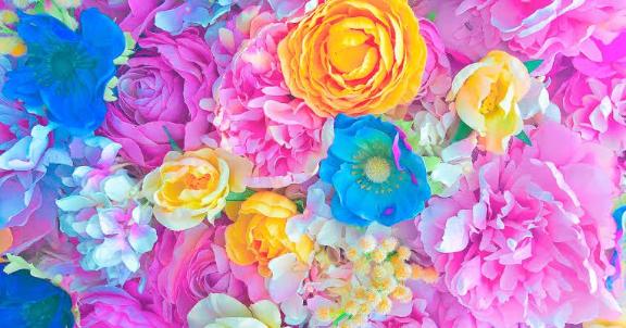 ありがとうございました