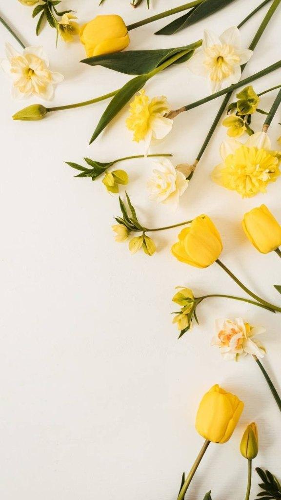 ありがとうございます💛