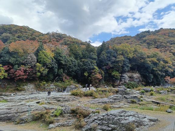 出勤しました✨