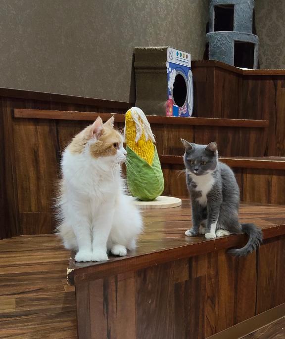 こんな日は、、