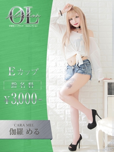 OLセレクション宇都宮店 한국인 가능 소프랜드 KYARAMERU