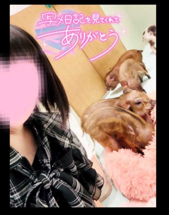 写メ日記サムネイル