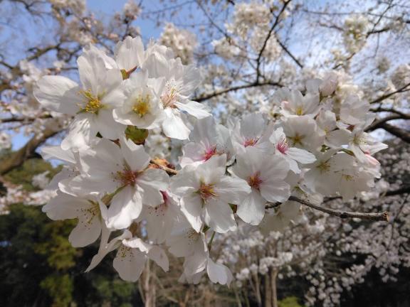 ご予約ありがとうございます❤️