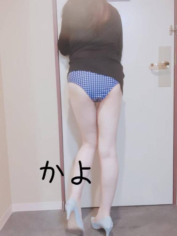 本日の