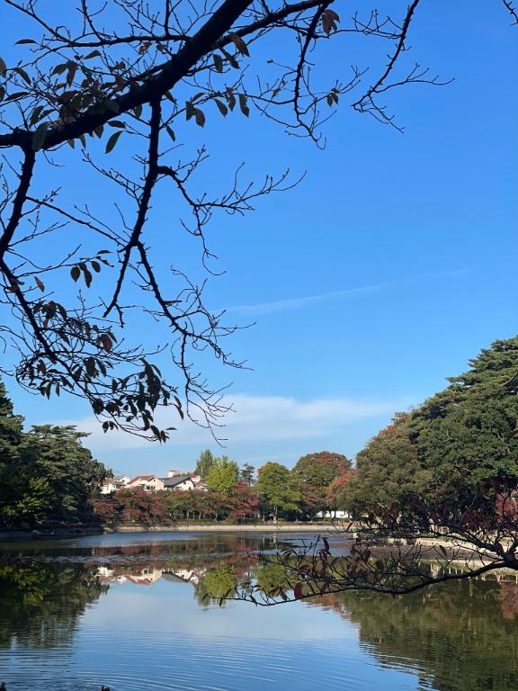 おはようございます☀️