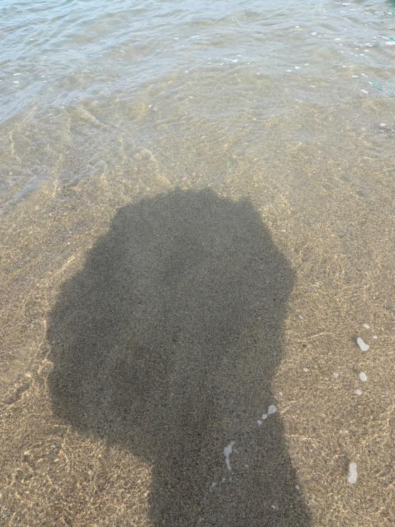 久しぶりの…🏖
