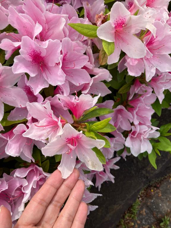 5月💕ありがとうございました♥️