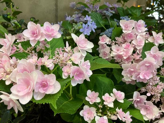 7月も宜しくお願いします💕