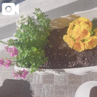 わくわく♡
