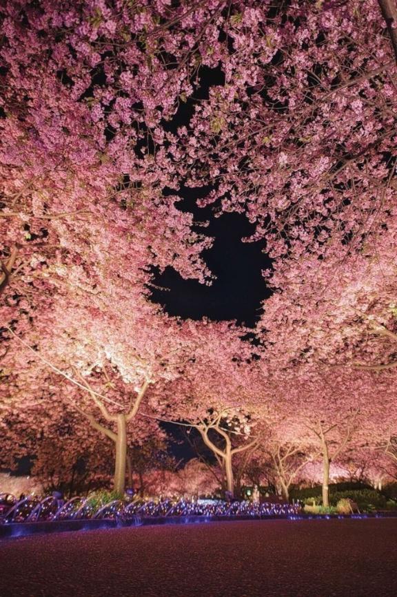4月🌸