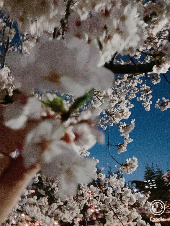 昨日は✨ありがとうございました☺️🌷