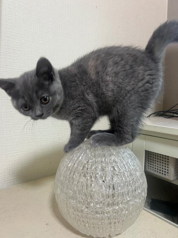 毎日癒されてます🍀💗