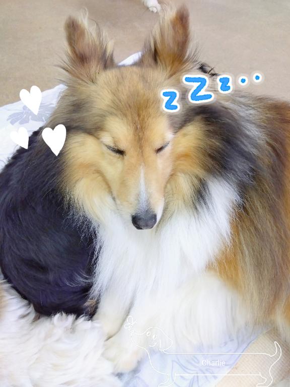 うーん、、、