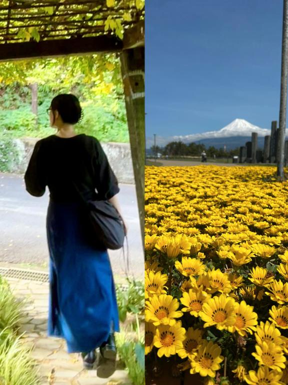 お花ってただ見ているだけで、心が整う