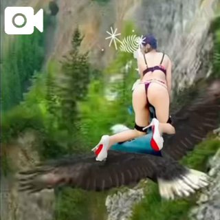 【音動画】あいまに〜🦅