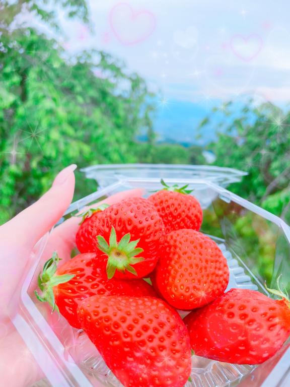 写メ日記サムネイル