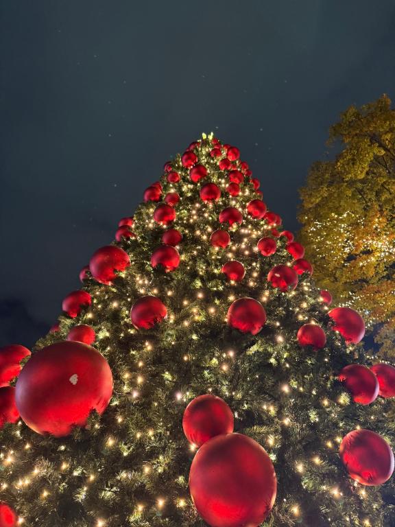 お久しぶりです⸜🌷︎⸝‍