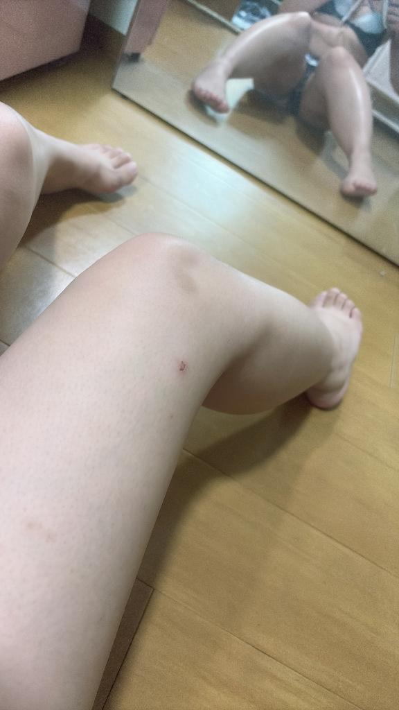 マイブーム
