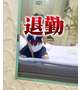【下校】ありがとうなのよーっ🏫🌸