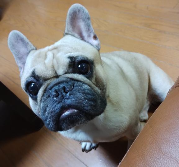 写メ日記サムネイル