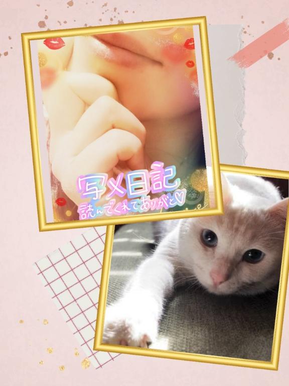 写メ日記サムネイル