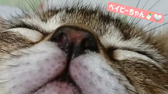 写メ日記サムネイル