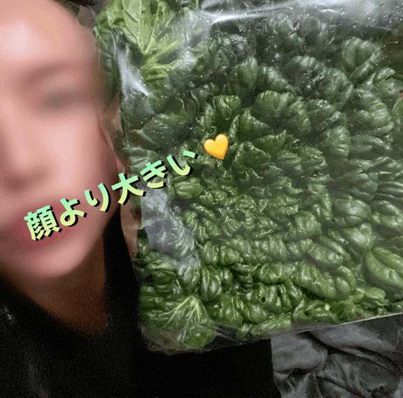 写メ日記サムネイル
