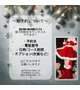 クリスマス仕様限定衣装🎄