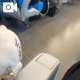 野生のおじさん